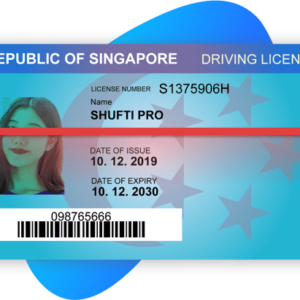 SINGAPURISCHER FÜHRERLIZENZ